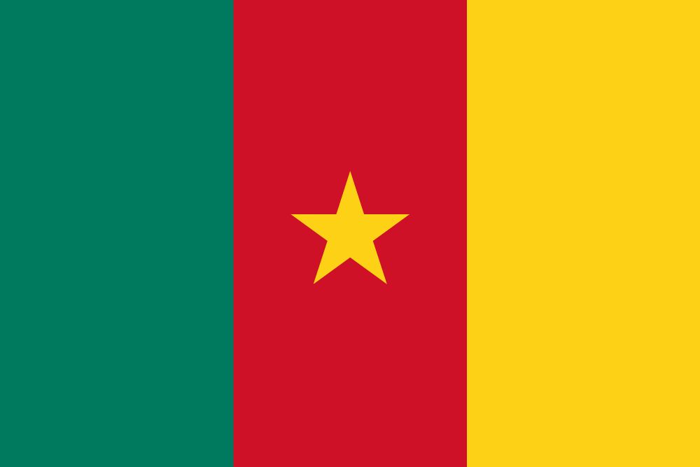 Drapeau Cameroun